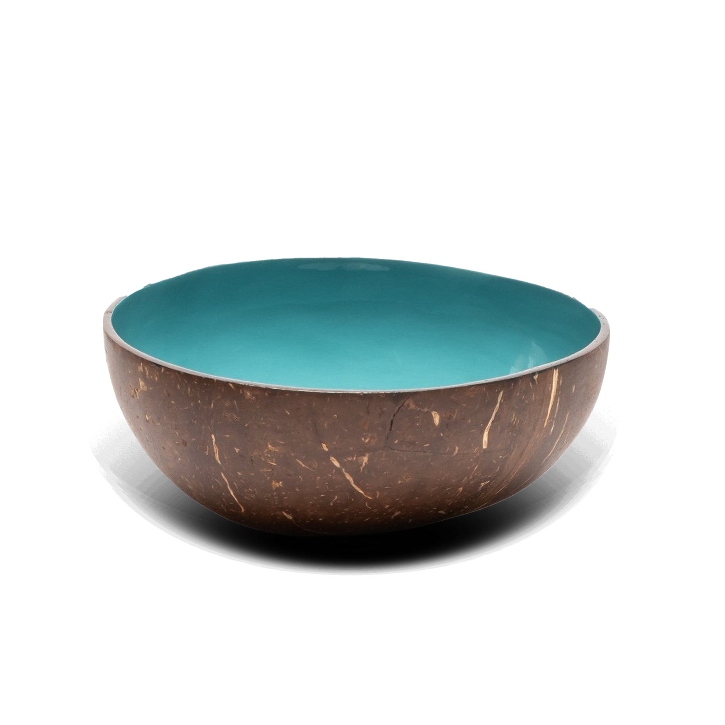 turkooise coconutbowl